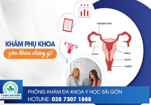 khám phụ khoa gồm khám những gì