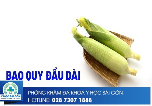 bao quy đầu dài