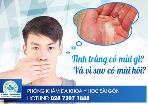 Nguyên Nhân Gây Mùi Hôi Tinh Trùng Không Nên Chủ Quan