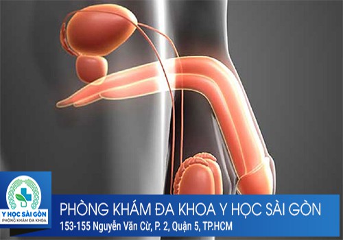 Tác hại của bệnh đau tinh hoàn